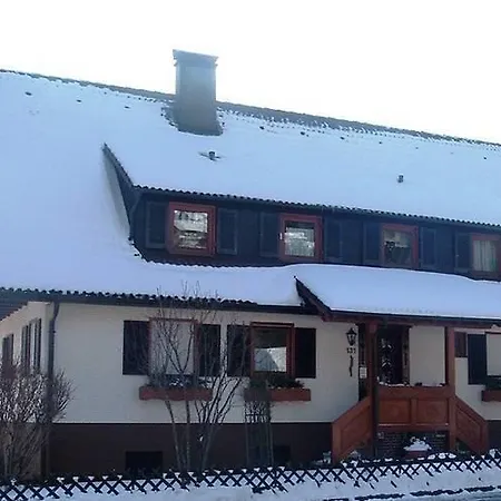 Apartment Tonbach 1 *